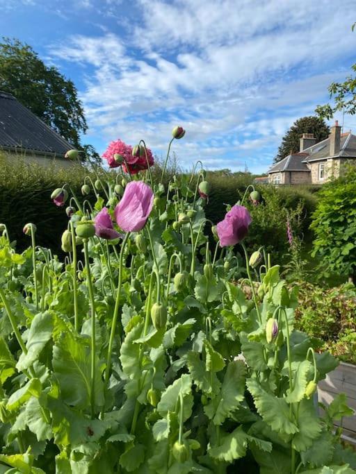 Glenburn, Fochabers Exterior foto