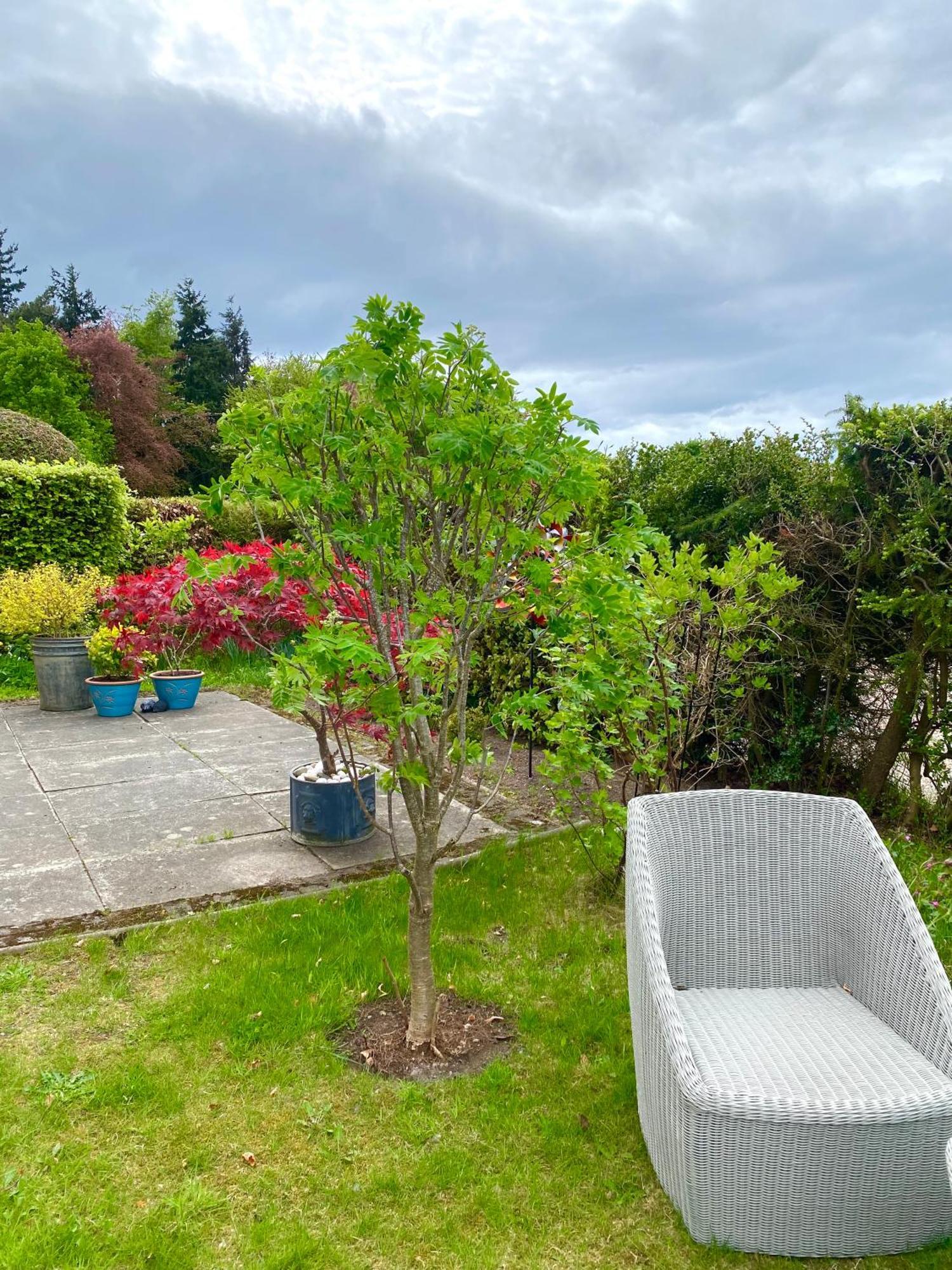 Glenburn, Fochabers Exterior foto